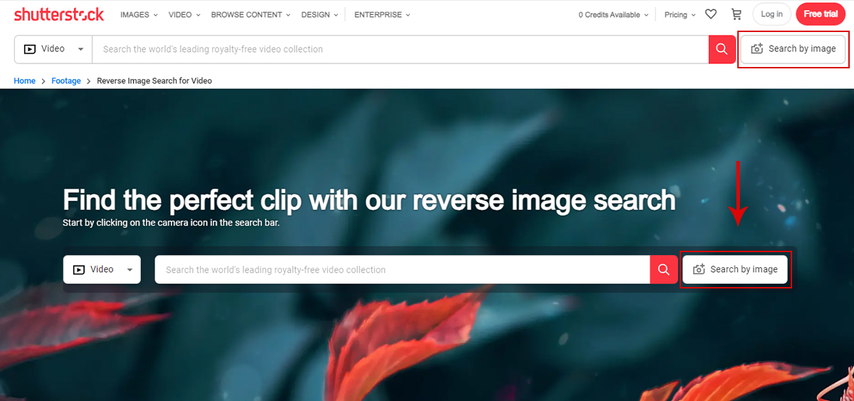 Reverse Video Search Using Shutterstock