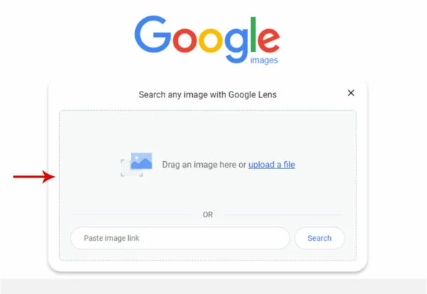 Reverse Video Search on Google 2