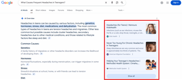 people also search showing user queries
