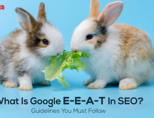 What Is Google E-E-A-T In SEO? Guidelines You Must Follow