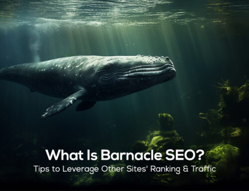 What Is Barnacle SEO? 11 Tips to Leverage Other Sites’ Ranking & Traffic