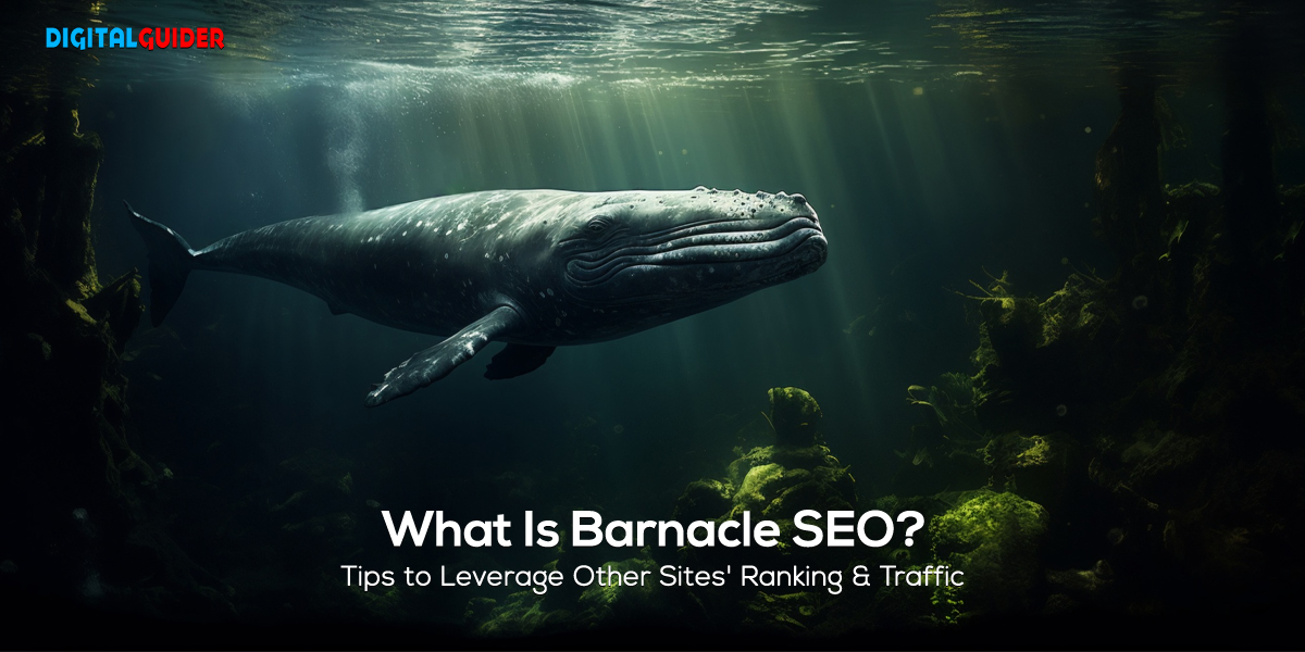 What Is Barnacle SEO