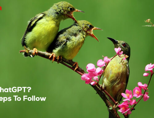 How To Talk To ChatGPT? Everything You Need to Know