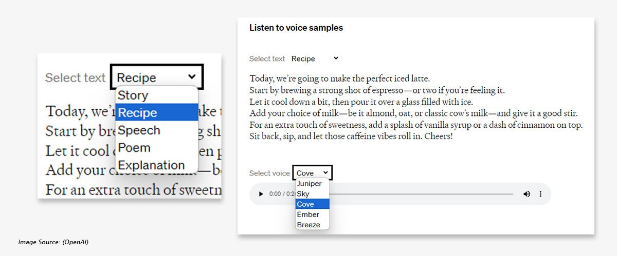 selection of voice in ChatGPT Voice Conversation