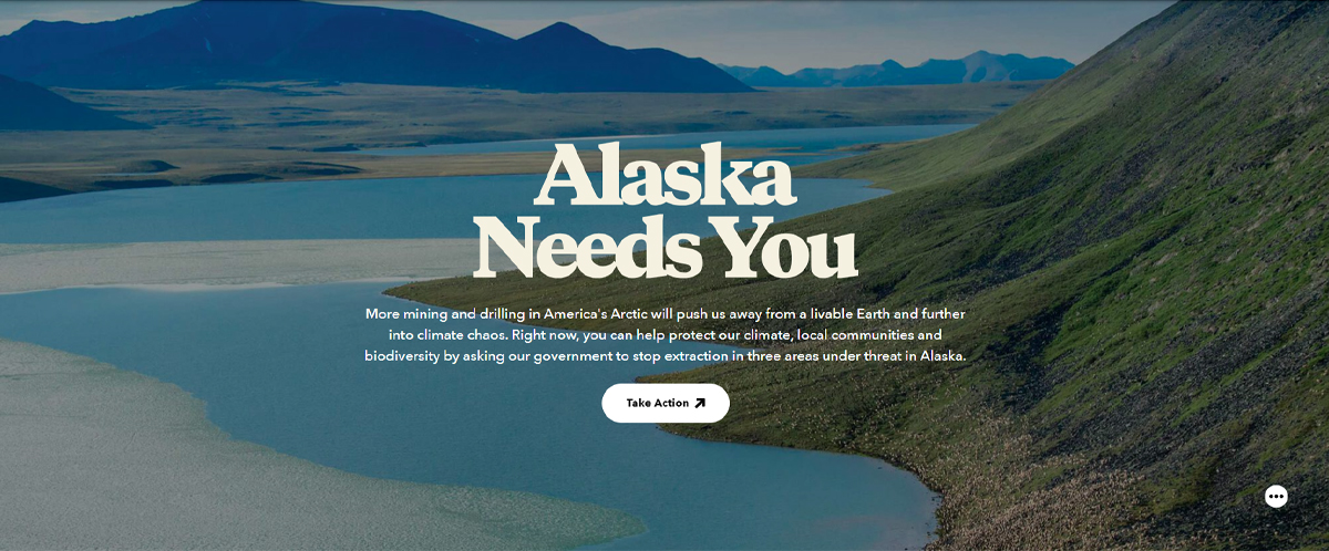 Patagonia - Environmental Activism and Brand Advocacy