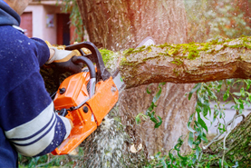 Tree Services Jewelry