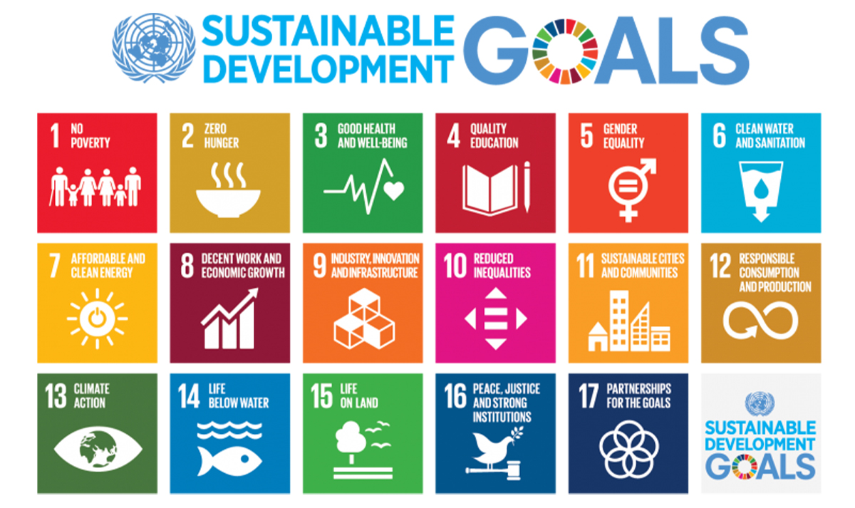 UN sustainable development goals