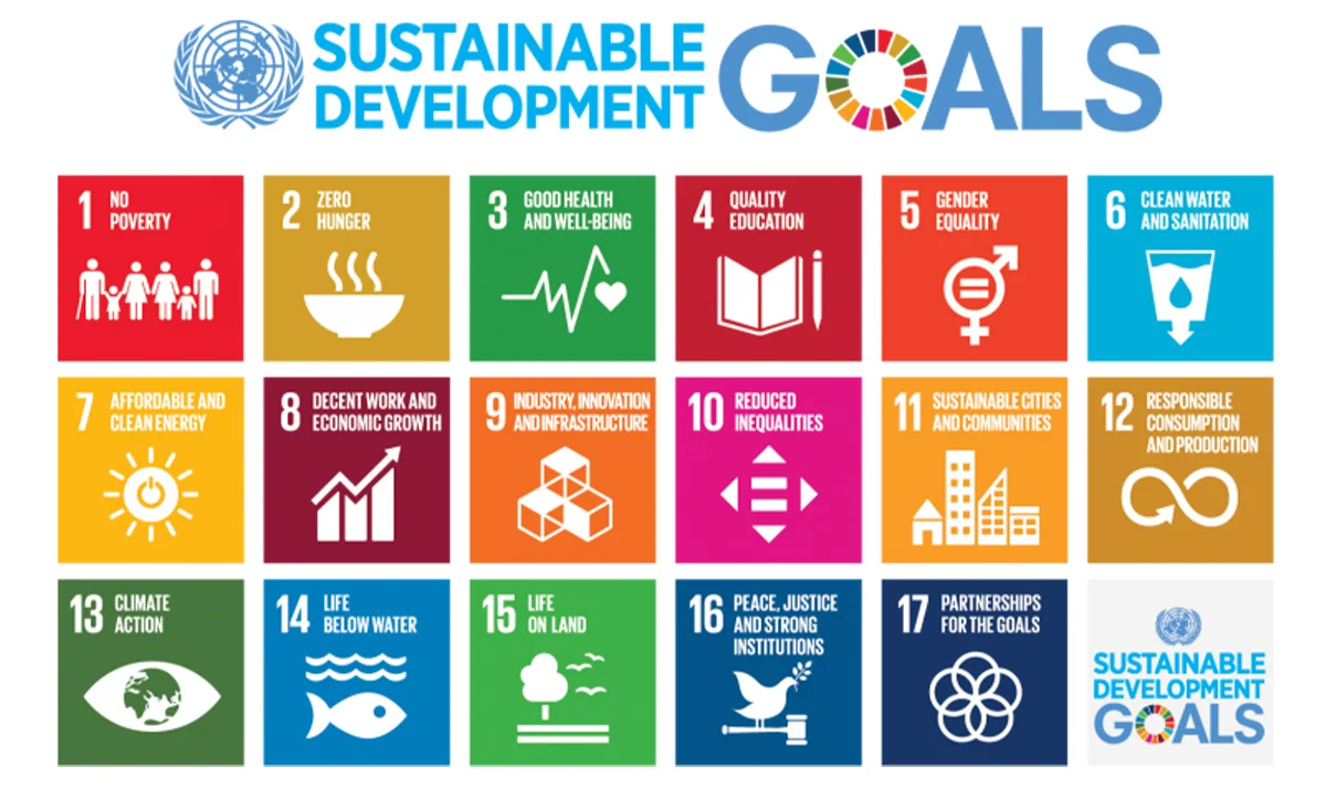 UN sustainable development goals