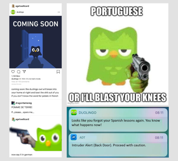 meme marketing example from Duolingo