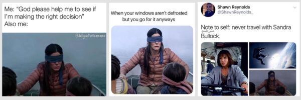 memes related to Bird Box on Netflix
