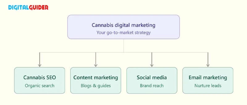Cannabis digital marketing strategy combining SEO, content, social media, and email.